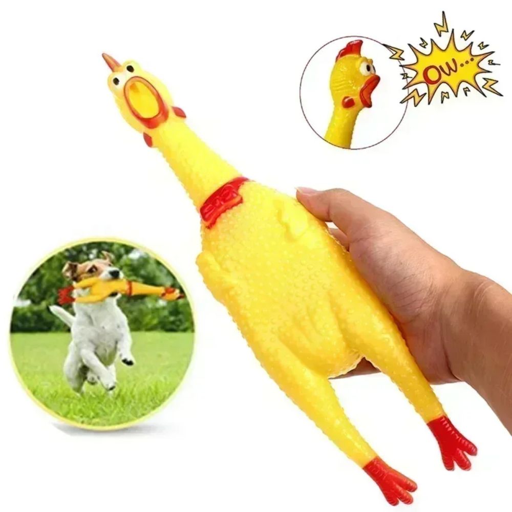 Screaming Chicken Squeak Dog Toy