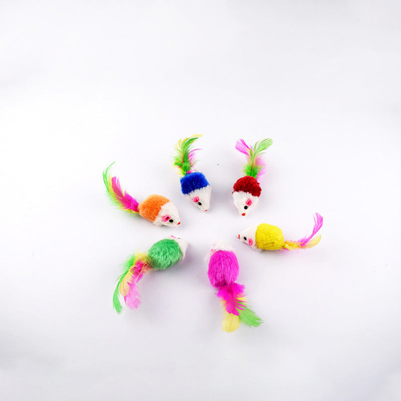 Fun Multicolor Cat Toy Combination Set