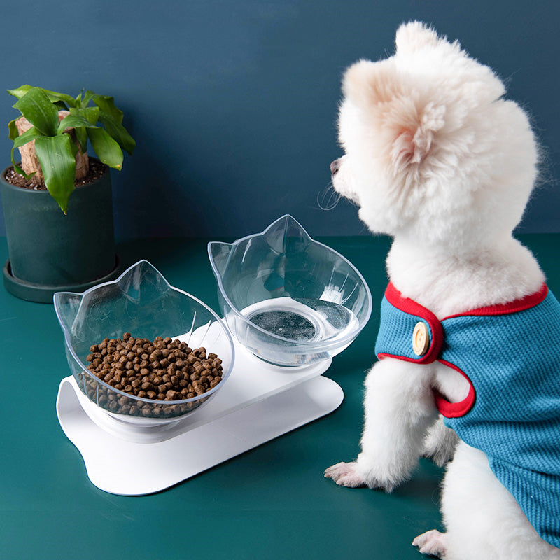 Inclined Clear Cat Bowl – Ergonomic Feeding Design