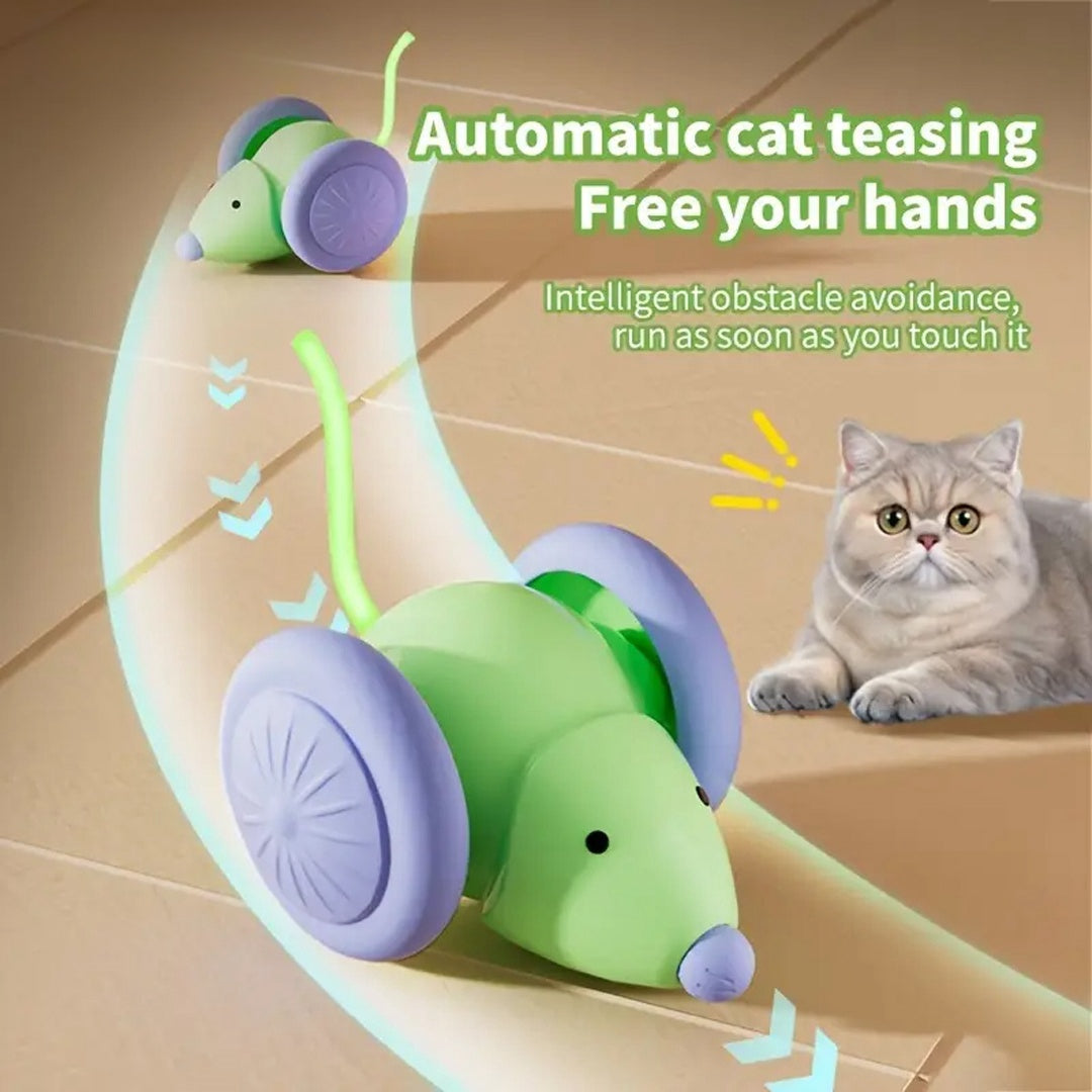 Electric Mouse Car – Interactive Cat Chaser